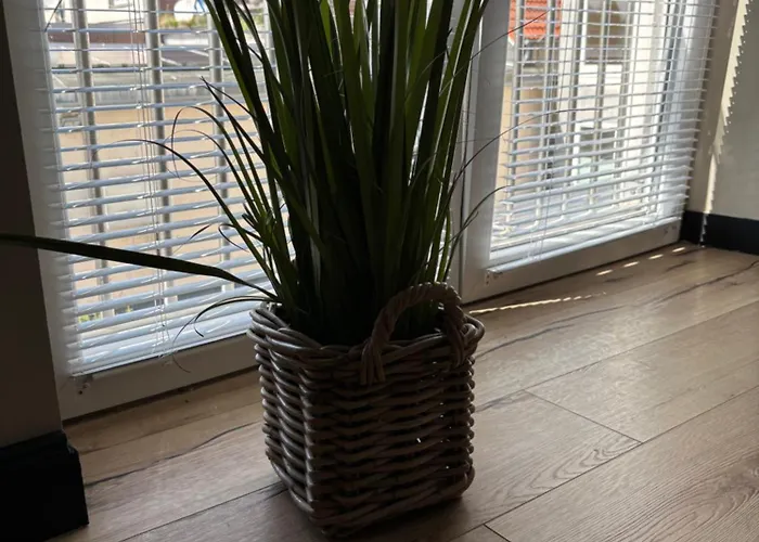 Foehr Bredstedt